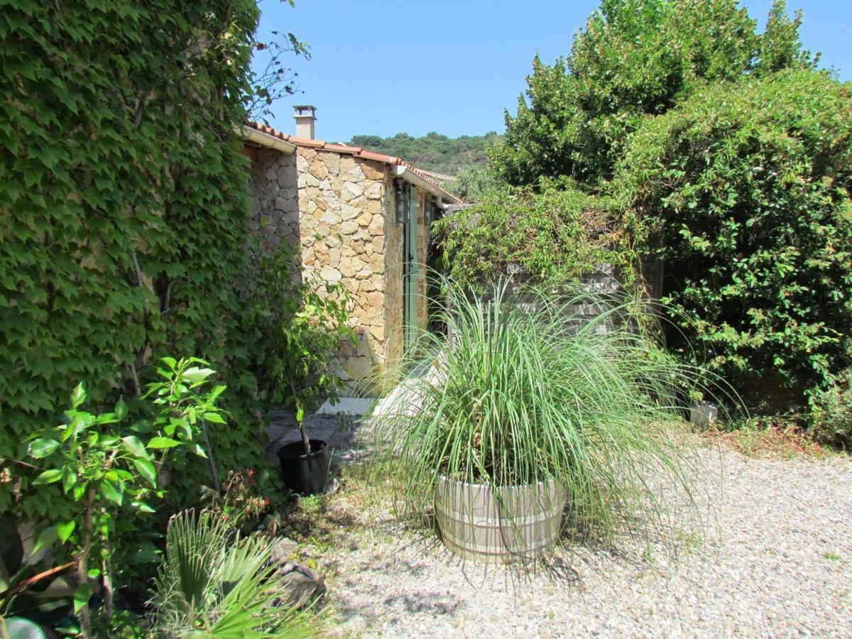 Chambre D'Hotes Des Oliviers La Roque-sur-Ceze Exterior photo